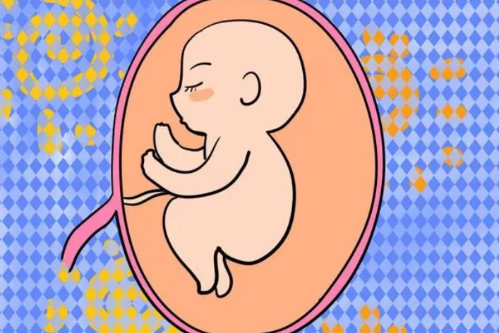 南京私人供卵医院，南京鼓楼人造内膜费用