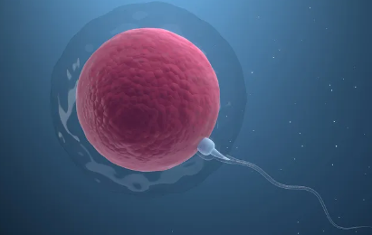 南京精子库联系方式,中国南京精子库