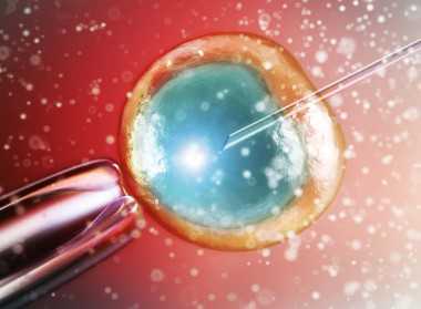 南京哪个医院供卵好,南京哪里可以做供卵试管