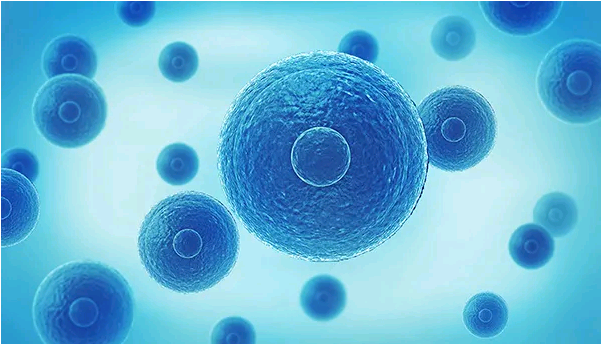 南京代怀孕一共多少钱,试管长效长方案促排流程最短需要多久-手机上怎么预约