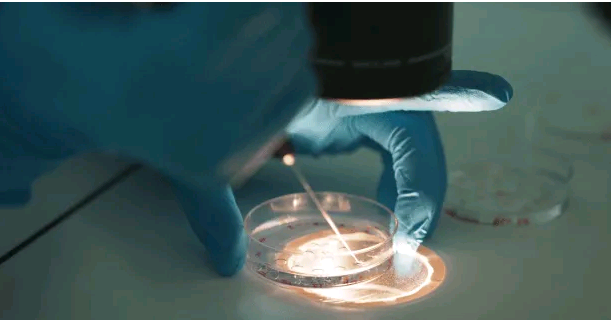 南京代孕产子哪家好,【北京有供卵医院吗？FSH75供卵可以吗】好孕之后来跟姐妹