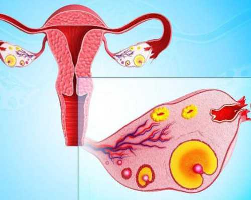 南京代孕母几多钱,正常人做试管要多少钱？哪家医院技术好_南京有供卵试管机