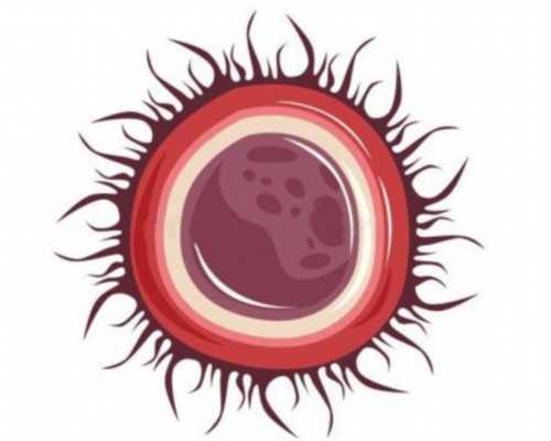 南京代怀快问优贝贝好 南京市妇幼保健院基本信息 ‘四维单子图像看男女’