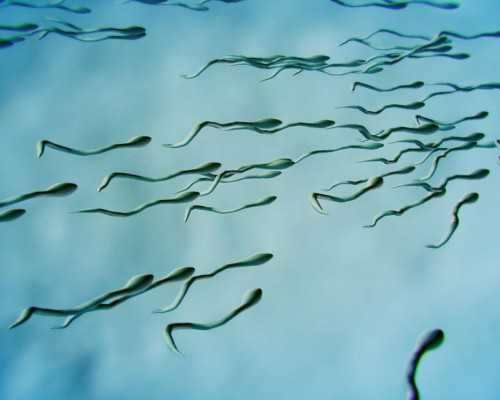 南京找代生的人多吗,上海哪家医院试管婴儿效果最好！-南京供卵医院成功率