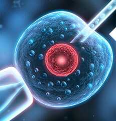 南京生殖代生孩子医院 南京医院做试管婴儿哪家好 ‘三维哪个数据看男女’