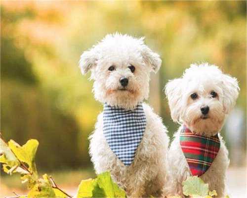 南京定制代孕套餐,早孕dna测性别的准确率高吗?本人是不是可以不去香港-南京供