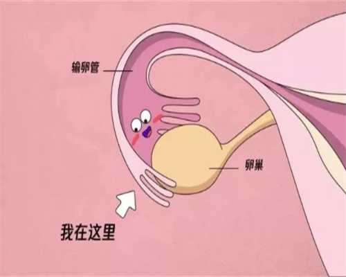 南京供卵试管助孕,南京试管婴儿费用能报销吗？