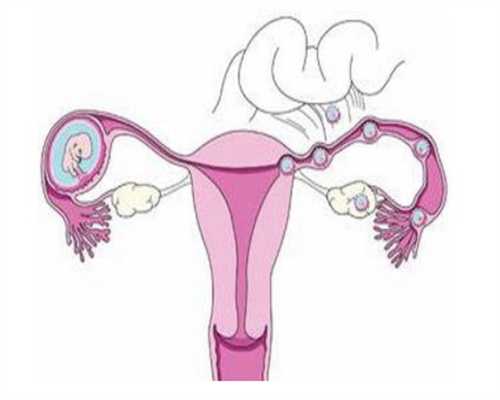 南京找做男代孕,大理哪个医院做试管成功率高?哪里做试管婴儿最好?_南京供